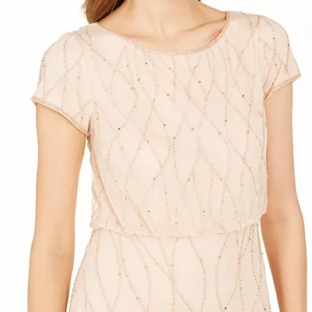 Adrianna Papell Embellished Gown in Champagne Sand - Picture 4 of 14